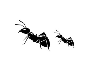 Ant Logo template vector illustration