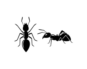 Ant Logo template vector illustration