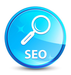 Seo splash natural blue round button