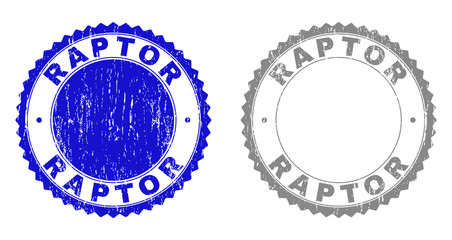 Obraz premium Grunge RAPTOR stamp seals isolated on a white background. Rosette seals with grunge texture in blue and gray colors. Vector rubber stamp imprint of RAPTOR caption inside round rosette.