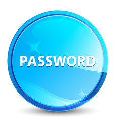 Password splash natural blue round button