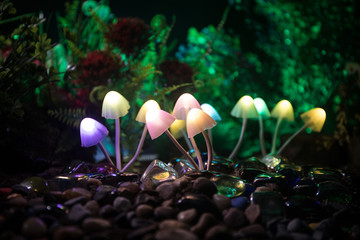 Fantasy glowing mushrooms in mystery dark forest close-up. Beautiful macro shot of magic mushroom...