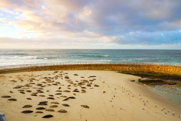 La Jolla Beach 