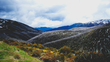 Fototapeta premium Falls Creek 14