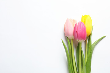 Beautiful spring tulips on white background, top view. International Women's Day