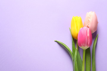 Beautiful spring tulips on color background, top view with space for text. International Women's Day