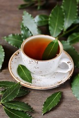 tea from bay leaf. useful hot drink is useful for colds, increases immunity,  has antiviral effect,...