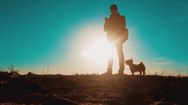 Male tourist with dog stands on top of a mountain. smartphone navigation man silhouette at sunset. hikers adventure and the dog go walking. travel mountains lifestyle silhouette