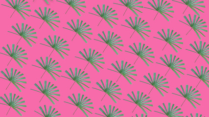 Tropical palm leaf on colored pink background
