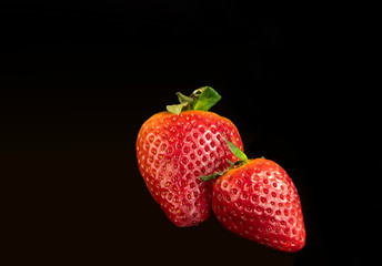Pair of big strawberries with a black background