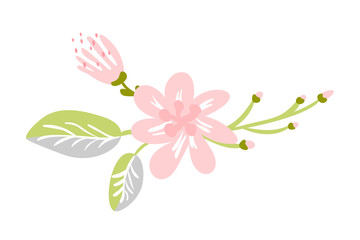 Vector isolated flat flower on white background. Spring scandinavian hand drawn nature illustration wedding design. For greeting card, print, children book
