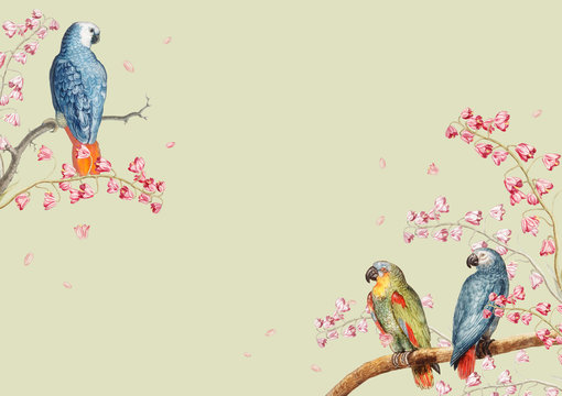 Parrots mockup border
