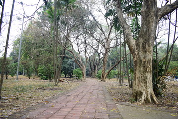 Beautiful landscape with road and trees