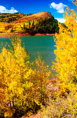 Autumn At Lemon Reservoir