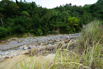 Stream in rural Philippines