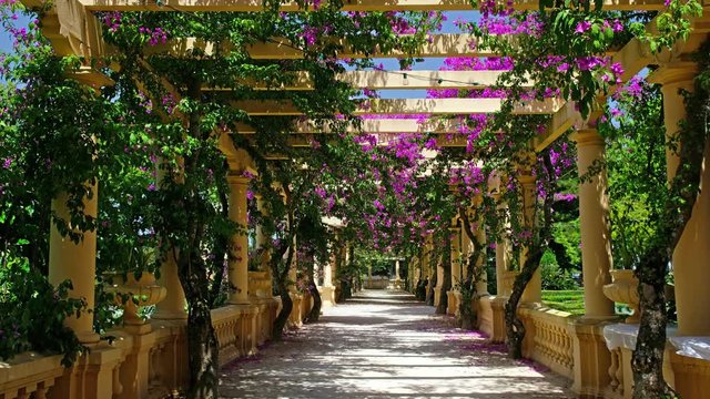 Beautiful terrace in the City Park in Aveiro. Parque Dom Pedro Infante. Portugal