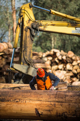 Lumberjack measuring and marking timber at a coupe in Victoria Australia