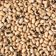 Tileable Black-eyed Peas Texture