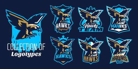 A colorful set of logos, stickers, emblems of flying eagle, hawk. Bird, hunter, predator, dangerous animal, shield, lettering. Mascot sports club, vector illustration