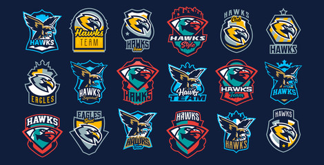 A large collection of colorful logos, badges, emblems on the theme of a hawk. Flying bird, hunter, predator, dangerous animal, shield, lettering. Mascot sports club, vector illustration