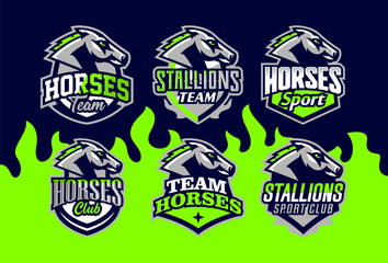 Obraz premium Set of horses logos. Sports logos of horses, racing stallions. Shield, text, mascot. Colorful collection, vector illustration