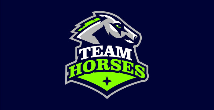 Horse logo. Sports logos of horses, racing stallions. Shield, text, mascot, head of a stallion. Vector illustration