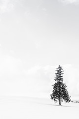 Beautiful outdoor nature landscape with alone christmass tree in snow winter weather season