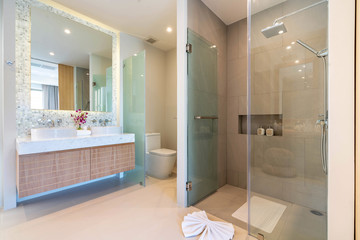 Luxury bathroom features basin, toilet bowl in the house or home building