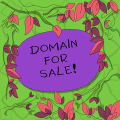 Text sign showing Domain For Sale. Conceptual photo Website available to be purchased webpage not being used Tree Branches Scattered with Leaves Surrounding Blank Color Text Space