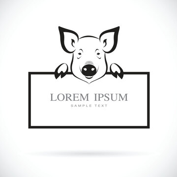 Vector of pig head with frame space for your text.  Farm Animal. Easy editable layered vector illustration.