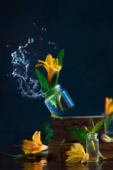 Spring wind knocking off a glass jar with a yellow alstroemeria flower. Water splash high-speed...