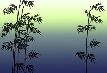 bamboo and background