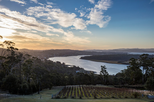 Sunset Over The Tamar Valley In Tasmania, Australia,  With A Vineyard In The Foreground