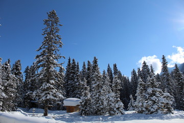 Winter Landscape