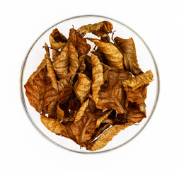 Laubblätter in einer Glasschale