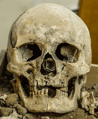 2000 Year Old Ancient Roman Skull