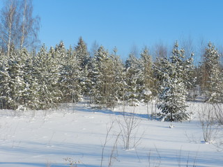 My Ural, my house