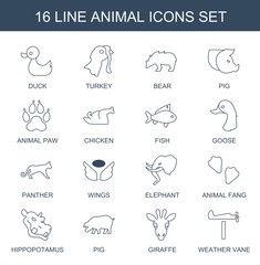 animal icons
