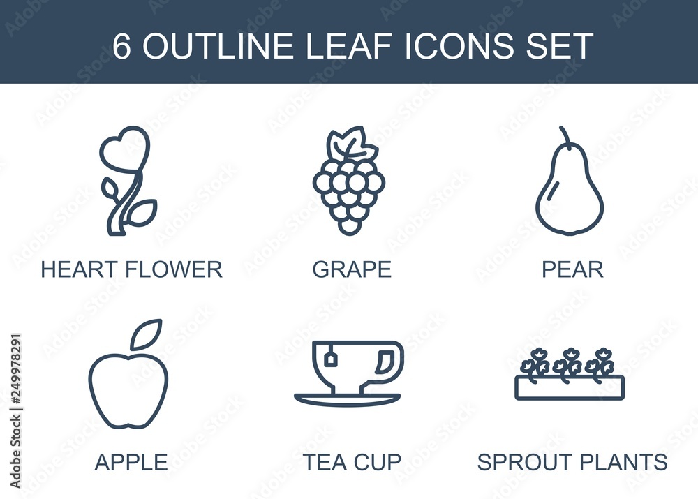 Poster 6 leaf icons - Posters