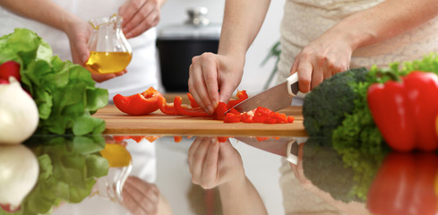 Closeup of human hands cooking in kitchen. Mother and daughter or two female friends cutting vegetables for fresh salad. Friendship, family dinner and lifestyle concepts