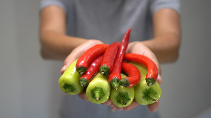 Woman hand holding red and green chili bell pepper.
