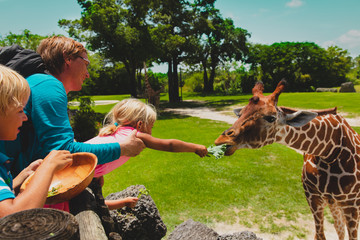 father and kids feeding giraffes in zoo