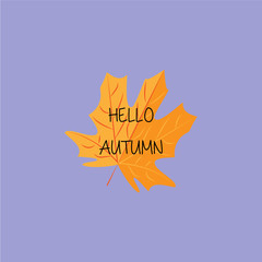 Vector illustration. Hello autumn phrase on maple leaf.