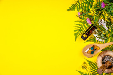 Wild and Healing herbs concept, flat lay, top view