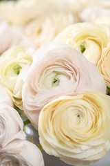 Persian buttercup. Bunch pale pink and pastel yellow ranunculus flowers in Glass vase. Vertical Wallpaper