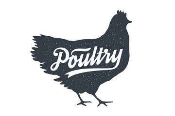Fototapeta na wymiar Chicken, hen, poultry. Lettering. Vintage lettering, retro print