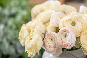 Persian buttercup. Bunch pale pink and pastel yellow ranunculus flowers in Glass vase. Vertical Wallpaper