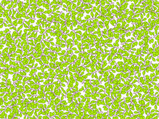 Summer green leaves vector seamless pattern. deciduous tree leaf pattern, falling cartoon leaves on white background, seamless summer and spring decorative pattern. Foliar leaf seamless pattern