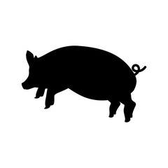 2019. The symbol of the new year. Pig. Chinese New Year. For your design.