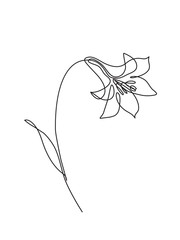 continuous line drawing of flower